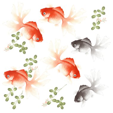 Japan　Fishes